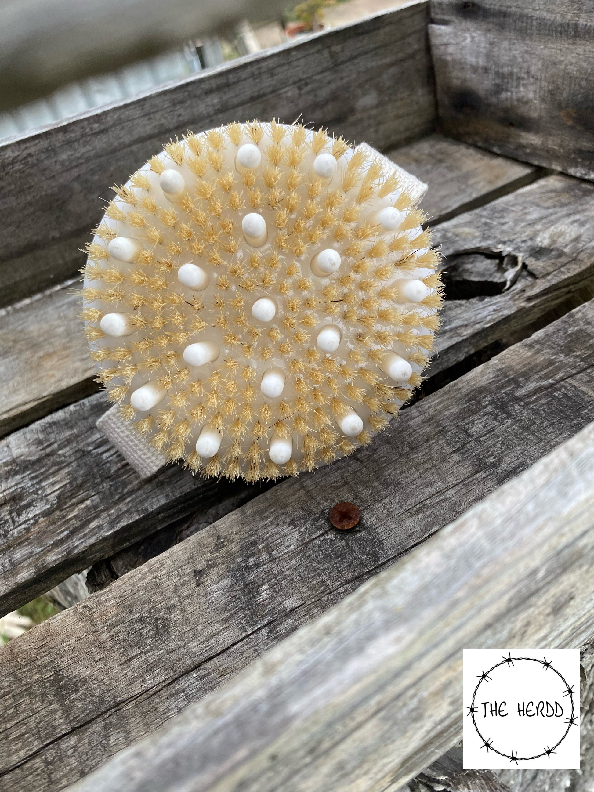 Trophy Brush - Luxe Wash Brush - Rescue My Rugs