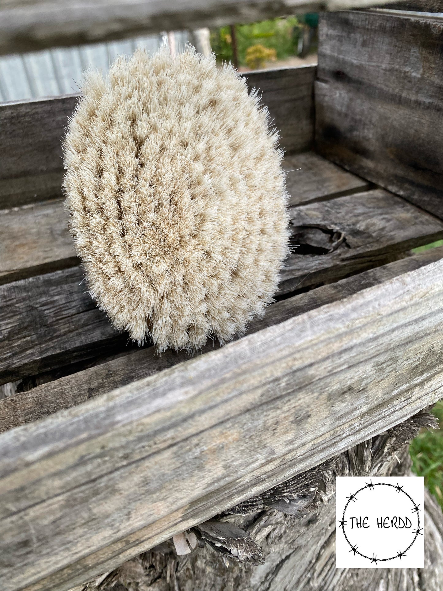 Trophy Brush - Body Brush Style - Rescue My Rugs
