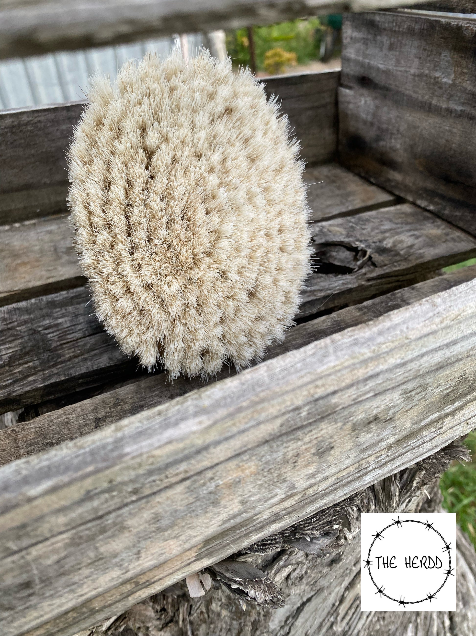 Trophy Brush - Body Brush Style - Rescue My Rugs