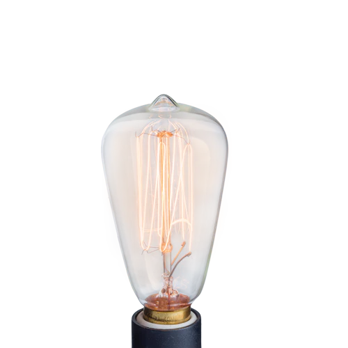 NP3 Bulb Edison - Rescue My Rugs