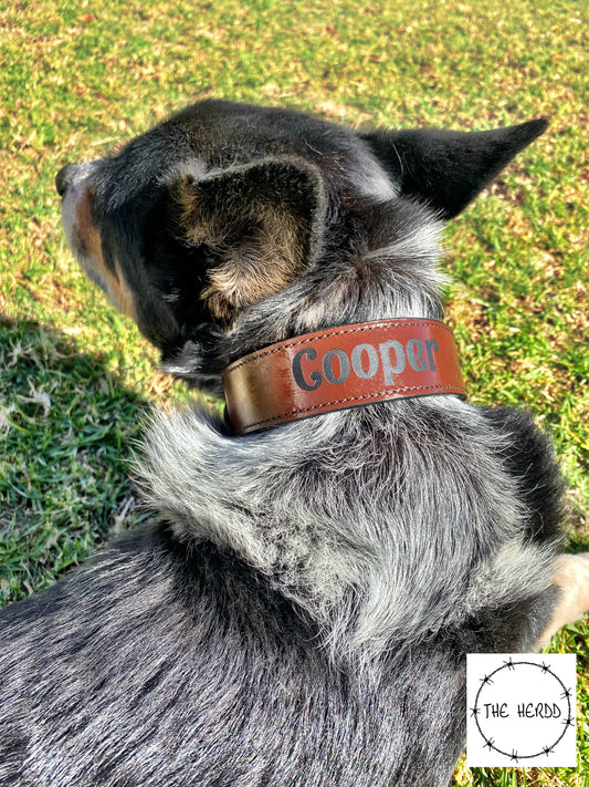 Leather Dog Collar with Personalisation - Rescue My Rugs