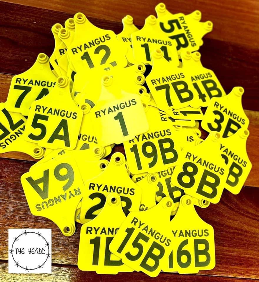 Custom Tags - Rescue My Rugs