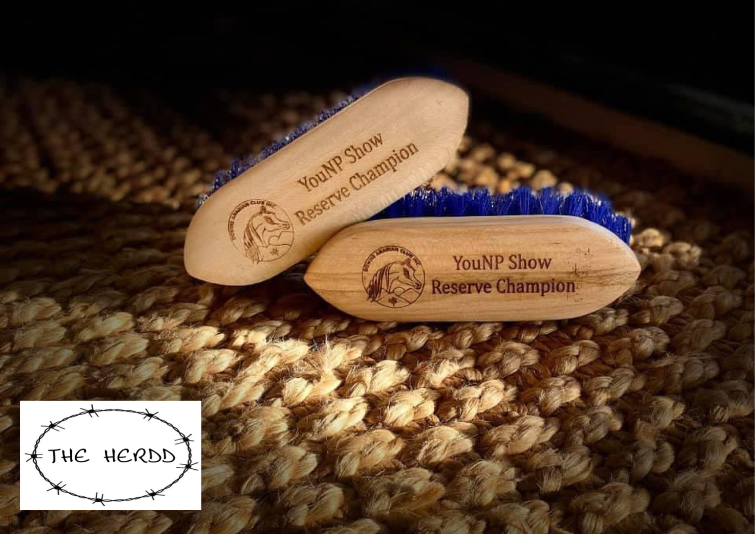 Trophy Brush - Dandy Brush Style - Rescue My Rugs