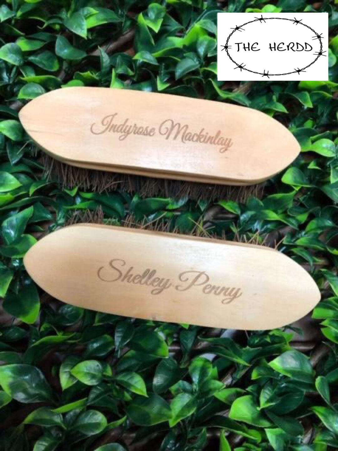 Trophy Brush - Dandy Brush Style - Rescue My Rugs