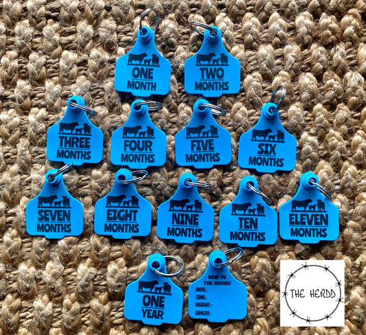 Baby Milestone Tags - Farm Edition - Rescue My Rugs