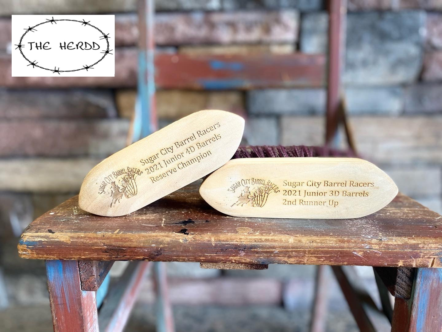 Trophy Brush - Dandy Brush Style - Rescue My Rugs