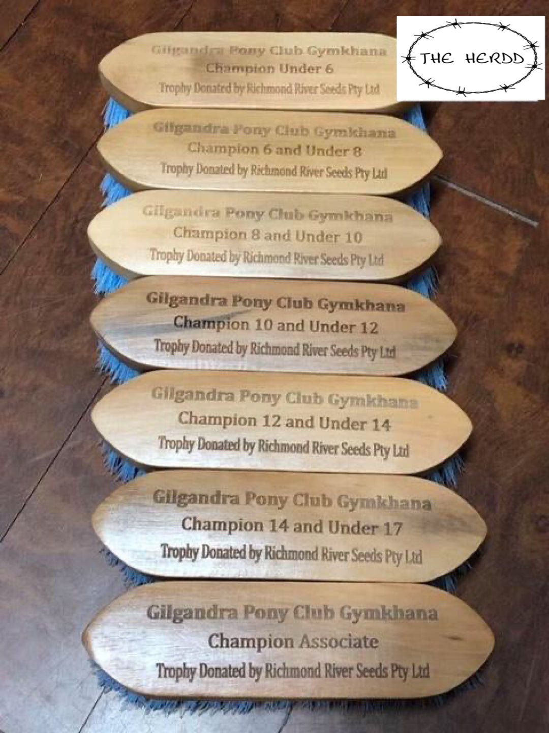 Trophy Brush - Dandy Brush Style - Rescue My Rugs