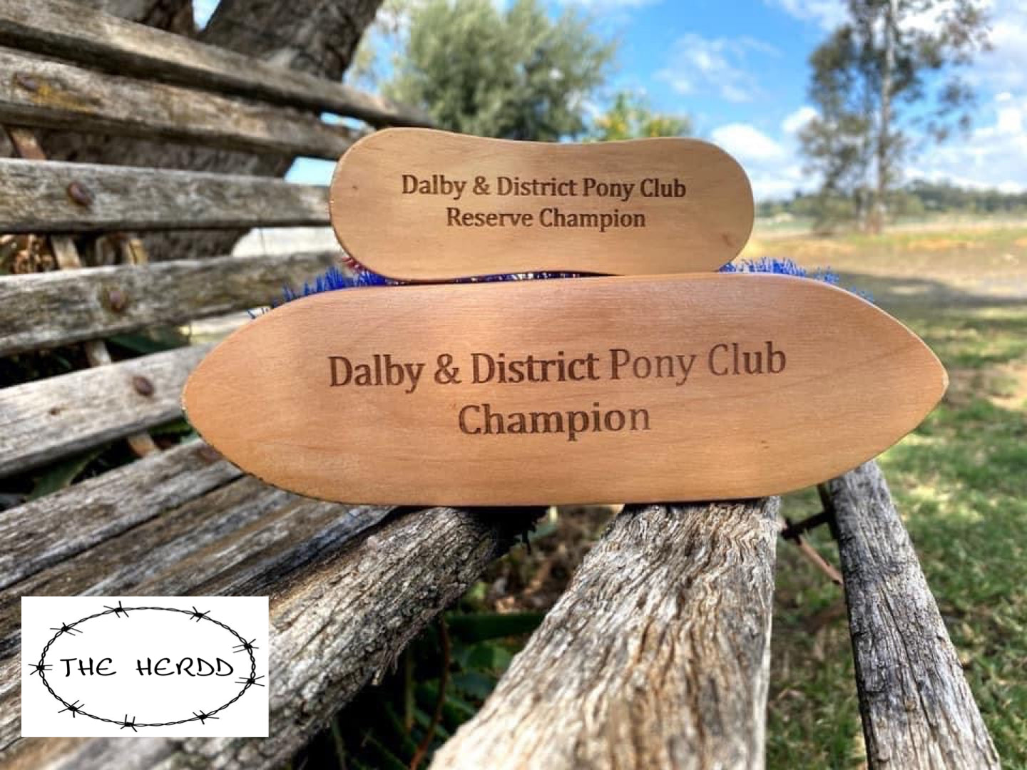 Trophy Brush - Dandy Brush Style - Rescue My Rugs