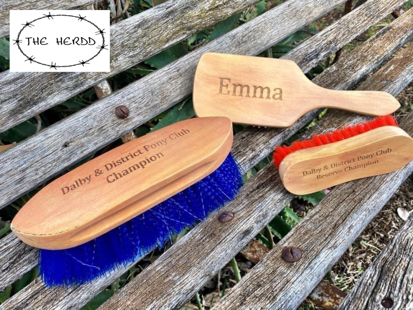Trophy Brush - Dandy Brush Style - Rescue My Rugs