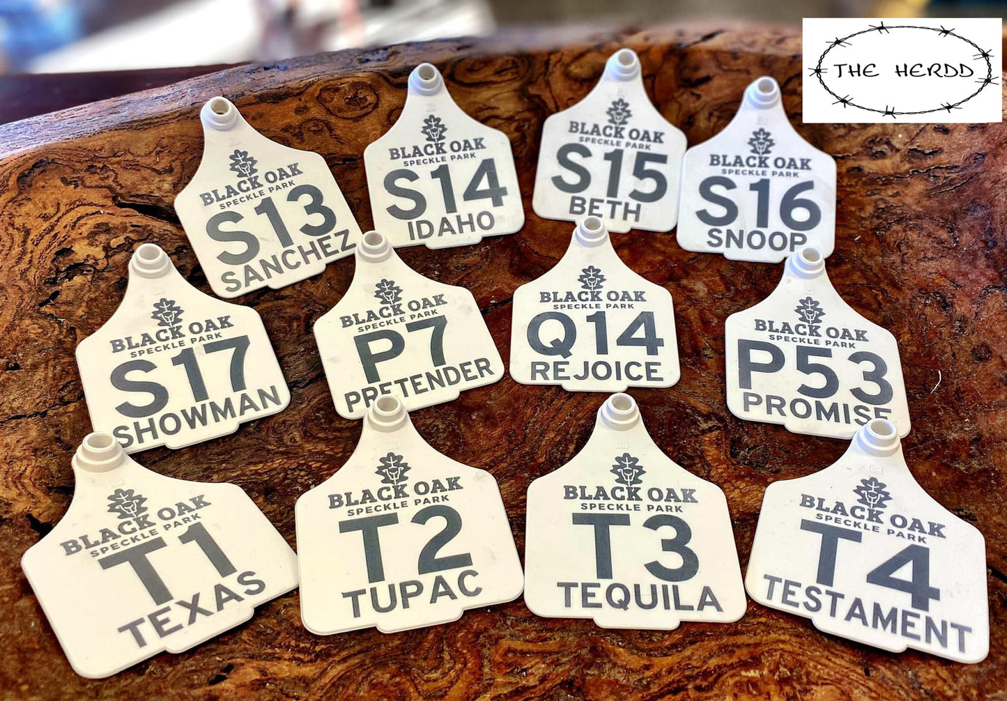 Custom Tags - Rescue My Rugs
