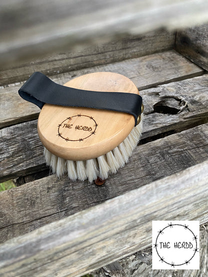 Trophy Brush - Body Brush Style - Rescue My Rugs