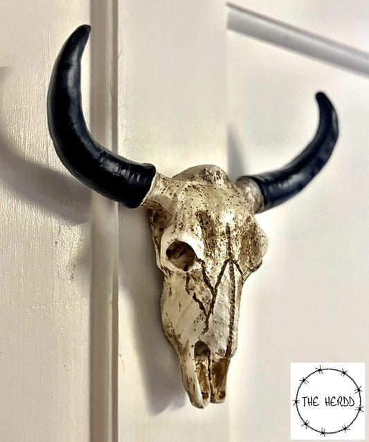 Rustic Bull Skull