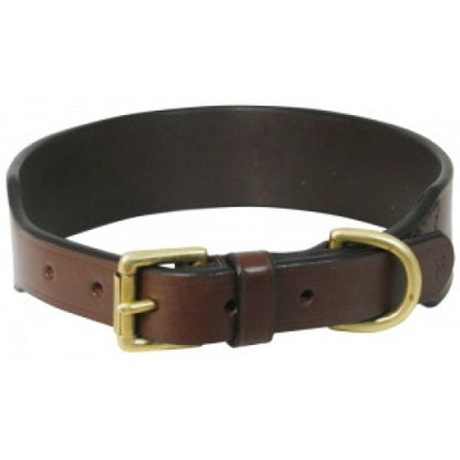 Leather Dog Collar With Laser Enrgaving - Rescue My Rugs