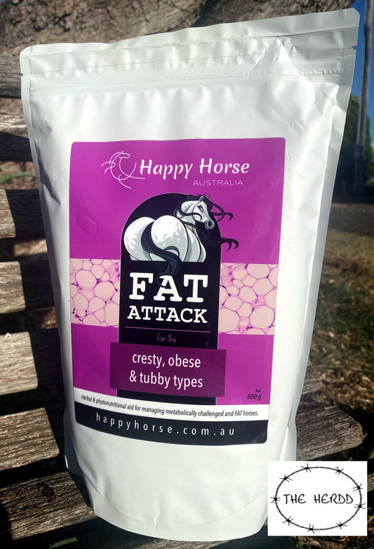 Happy Horse - Fat Attack - Rescue My Rugs